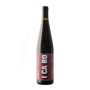 ICARO Nemico - Vino Bianco dei Castelli